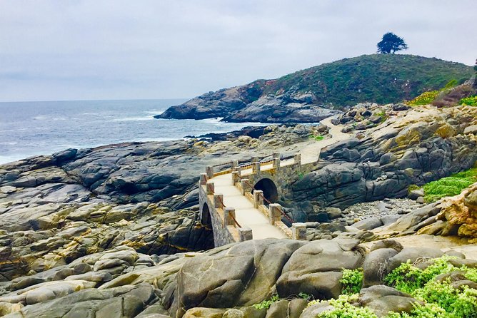 Fr STGO: WILD PENGUINS, SEALION, SANDBOARD, PARAGLIDING & PICNIC - Why This Day Works So Well