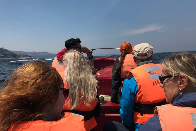 Fr VALPO: WILD PENGUINS, SEALION, SANDBOARD, PARAGLIDING & PICNIC - Chilean lunch above the Pacific