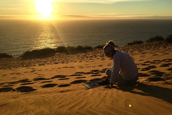 Fr VALPO: WILD PENGUINS, SEALION, SANDBOARD, PARAGLIDING & PICNIC - Concon Dunes: the playful finale