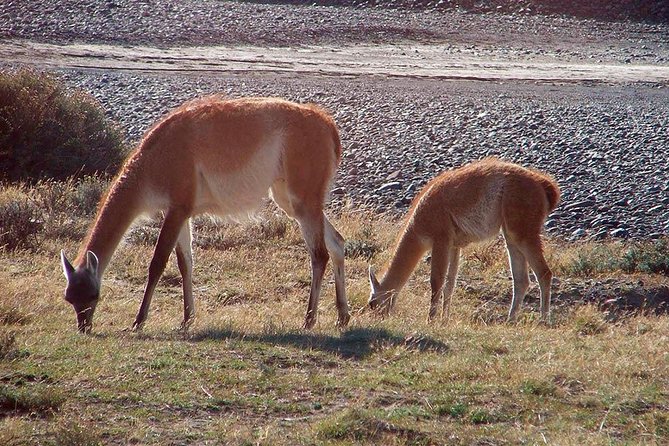 French Valley Hike in Torres Del Paine - What the 24-kilometer distance means for you