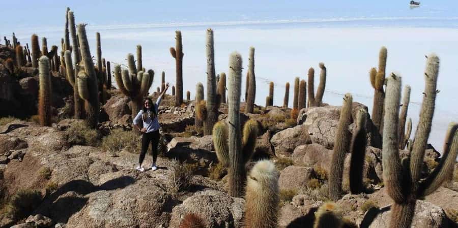 From Atacama | Uyuni salt flat 4 days the largest salt flat - Lodging, meals, and what to pack