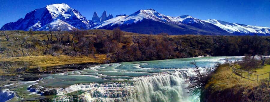 From El Calafate: Torres del Paine Full Day Tour - Why This Day Trip Works