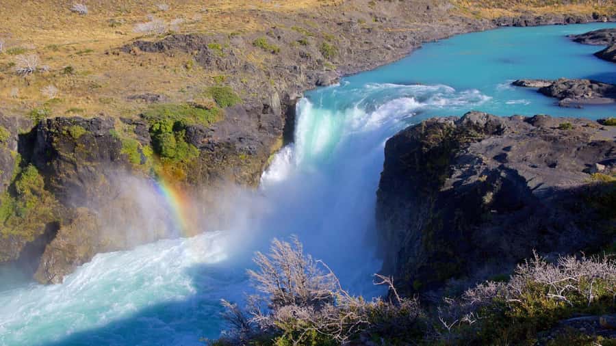 From El Calafate: Torres del Paine Full Day Tour - Lunch, Rest Stops, and the Ride Inside the Park