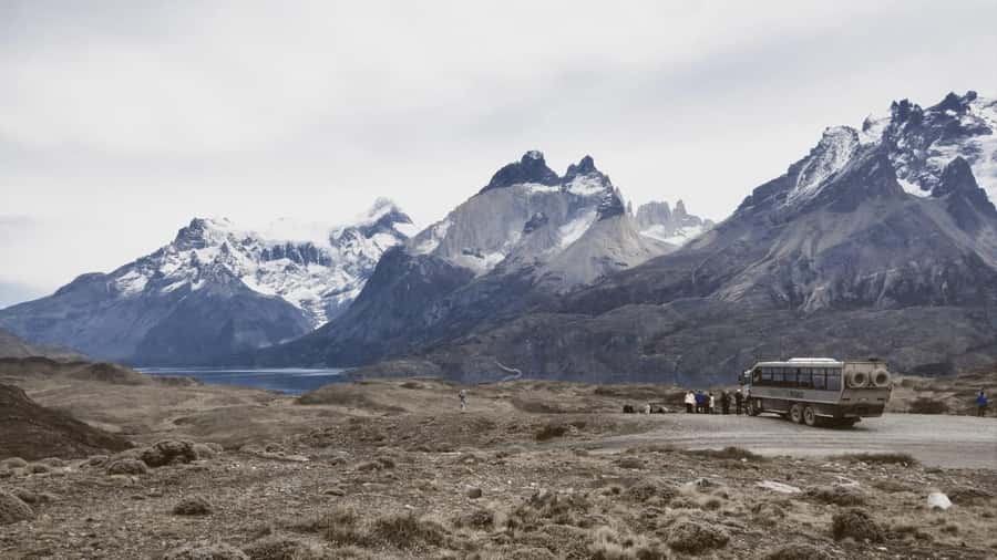 From El Calafate: Torres del Paine Full Day Tour - Wildlife and the Unpredictable Weather