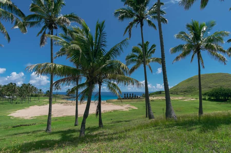 From Hanga Roa: Easter Island Highlights 2-Day Tour - Key points to know before booking