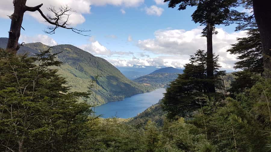 From Pucón: Huerquehue National Park Hiking Tour - Key points to know before you go