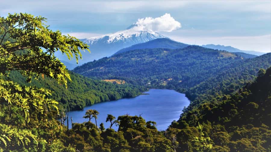 From Pucón: Huerquehue National Park Hiking Tour - From Pucón to Huerquehue in 40 minutes