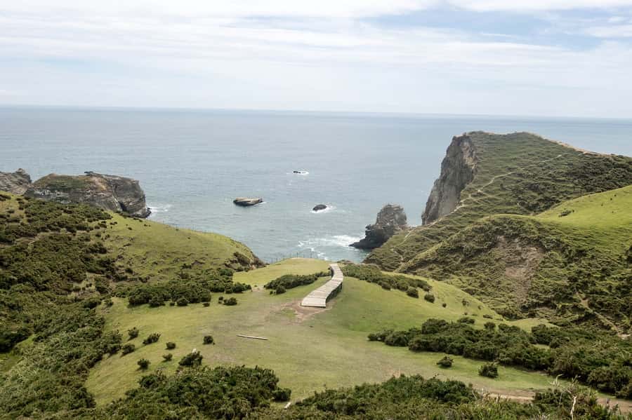 From Puerto Varas: Chiloe Island Full-day Tour - Castro and the palafitos at Gamboa