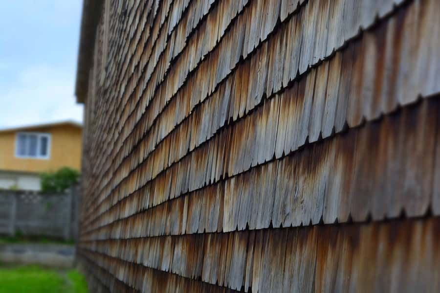 From Puerto Varas: Chiloe Island Full-day Tour - Guide quality and language considerations
