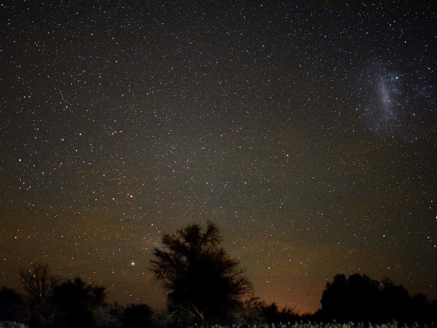 From San Pedro de Atacama: Astronomy Tour - Key points to know before you book