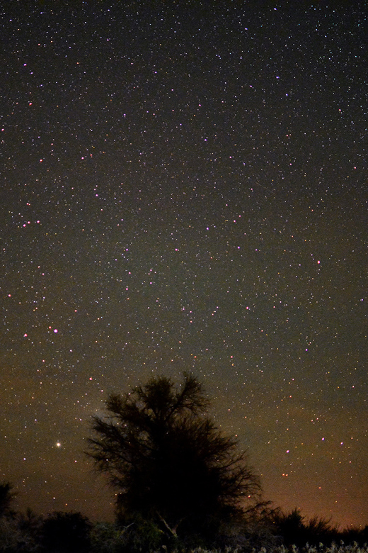 From San Pedro de Atacama: Astronomy Tour - What the high praise tells you