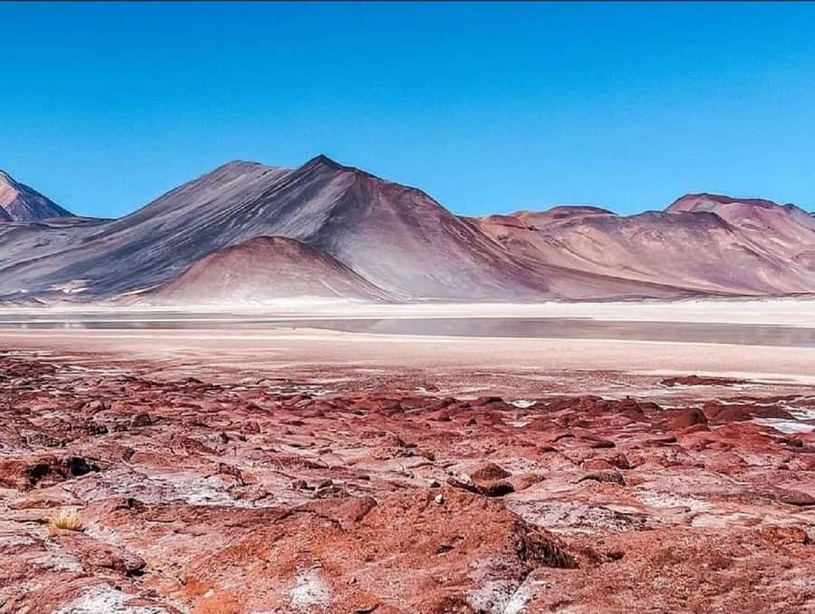 From San Pedro de Atacama: Lagoons and Piedras Reds - Why this Atacama day has real range
