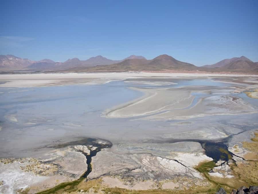 From San Pedro de Atacama: Lagoons and Piedras Reds - Guide quality can shape the whole experience