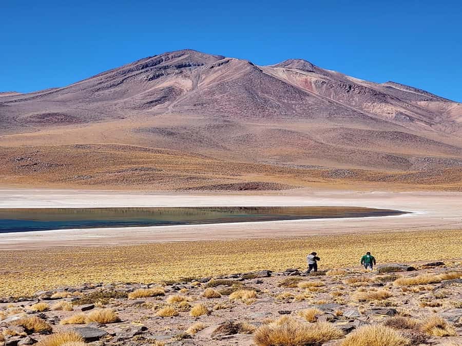 From San Pedro de Atacama: Lagoons and Piedras Reds - Toconao brings a human scale to the desert