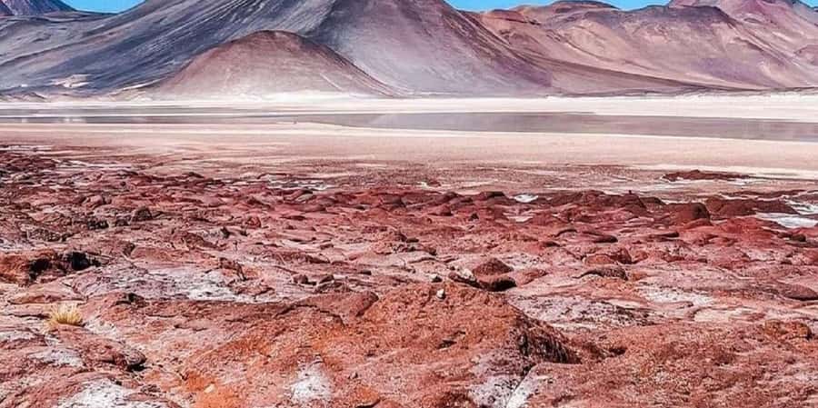 From San Pedro de Atacama: Lagoons and Red Stones - Toconao: a small town with practical charm