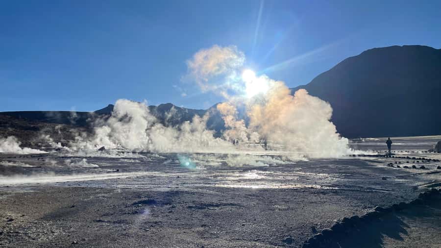 From San Pedro de Atacama: Tatio Geysers and Machuca Tour - Putana wetland and high-altitude birdlife