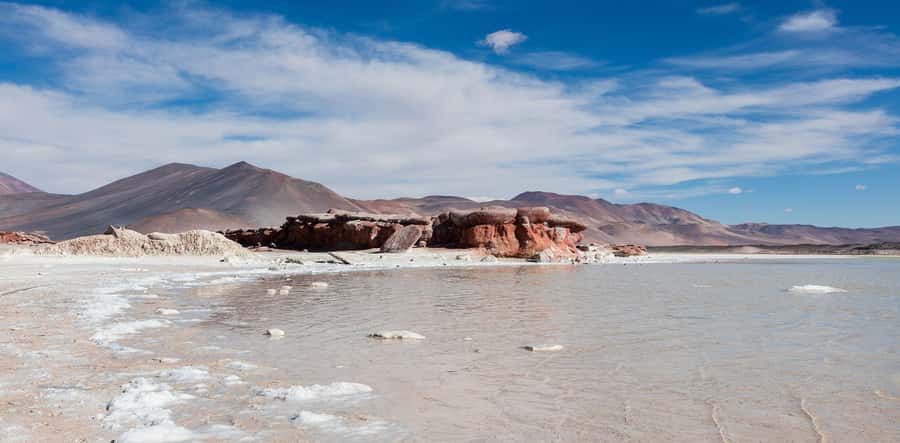 From San Pedro de Atacama: The Salt Flats Route, Full day - The Pakana formations and the Moai of Tara