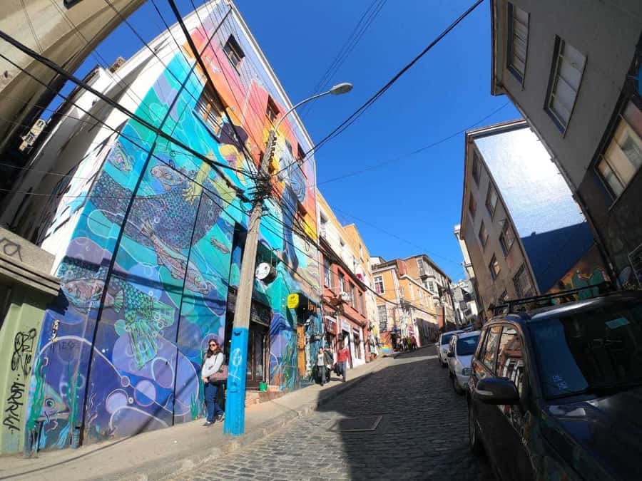 From Santiago: Highlights of Valparaiso and Viña del Mar - Viña del Mar’s flower clock and polished streets