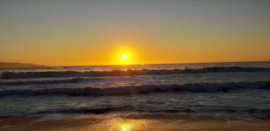 From Santiago: Isla Negra, Pablo Neruda Museum & Winery Tour - What $230 per person really covers