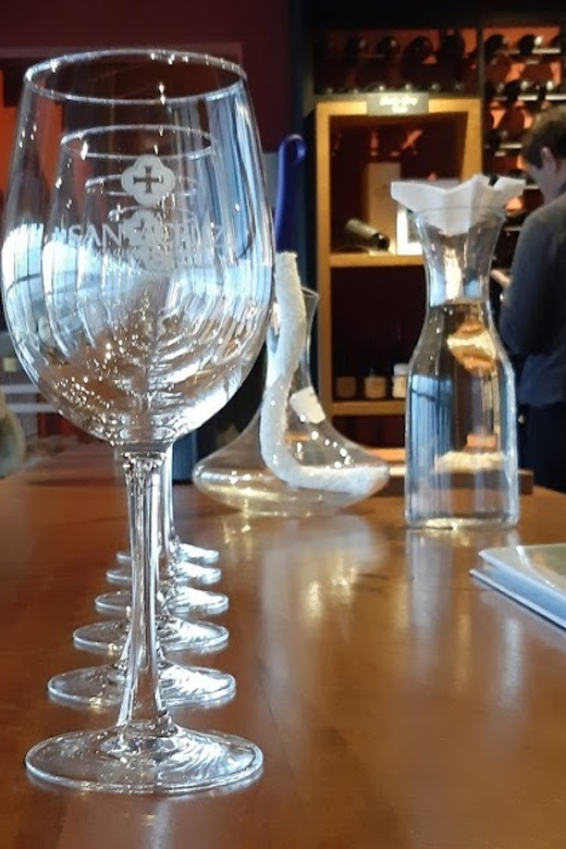 From Santiago: Isla Negra, Pablo Neruda Museum & Winery Tour - Should you book the Isla Negra, Pomaire, and winery tour?
