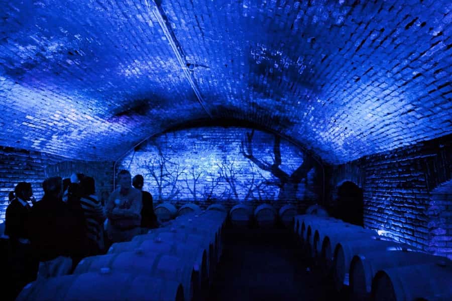 From Santiago: Maipo Valley Wine Tour - Key points to know before booking