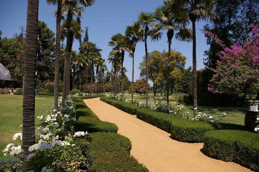From Santiago: Maipo Valley Wine Tour - Who will enjoy this wine tour most