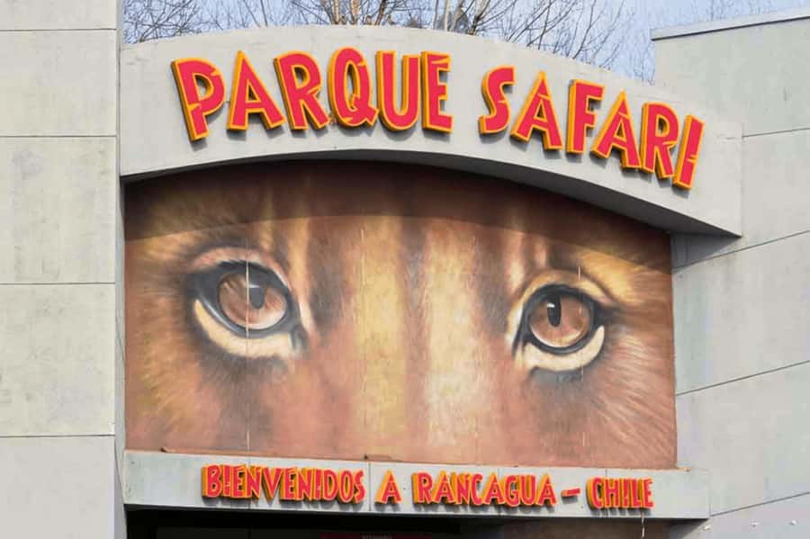 From Santiago: Safari Park, a wild experience - The one-hour ride from Santiago