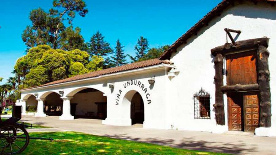 From Santiago: Undurraga Winery Tour with Tasting - Five things to know before visiting Undurraga