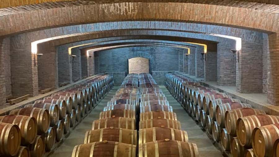 From Santiago: Undurraga Winery Tour with Tasting - Walking through the park and Aliwen corner