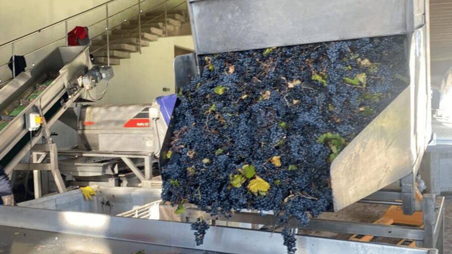 From Santiago: Undurraga Winery Tour with Tasting - The tasting: three or four wines?