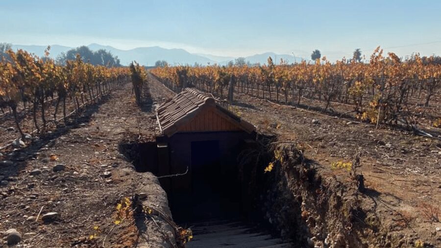 From Santiago: Undurraga Winery Tour with Tasting - Is $86 a fair price?