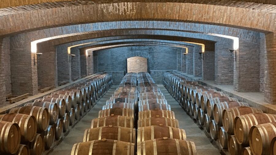 From Santiago: Undurraga Winery Tour with Tasting - Who should book this winery visit?