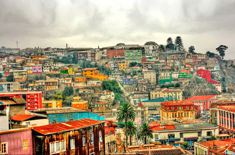 From Santiago: Valparaiso and Viña del Mar Day Tour - The Curacavi Valley and the Millahue stop