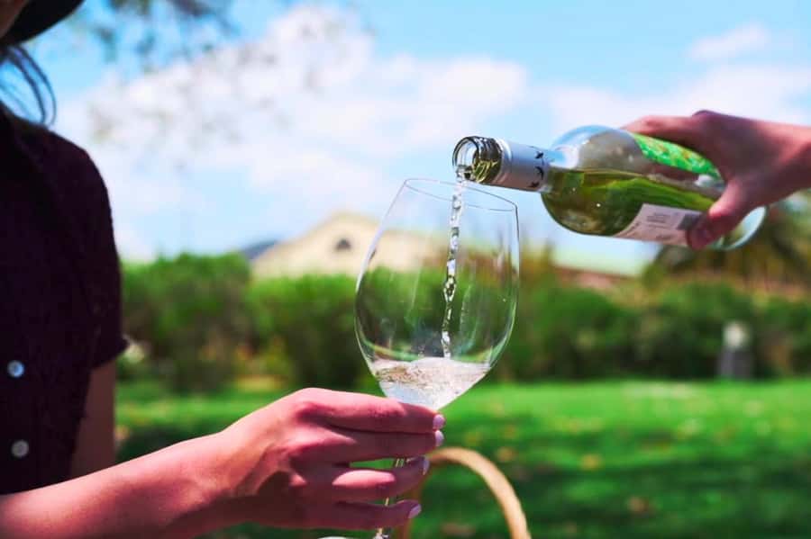 From Santiago: Vineyard, Valparaíso, and Viña del Mar Tour - Quick points before you book
