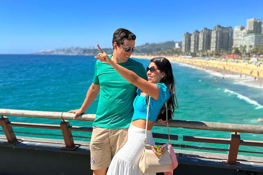 From Santiago: Vineyard, Valparaíso, and Viña del Mar Tour - The guide and the pace
