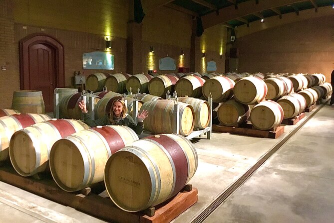 From Valparaiso:Taste 10 Types of Wine in 3 Casablanca’s Vineyard - Bodegas RE keeps the final stop personal