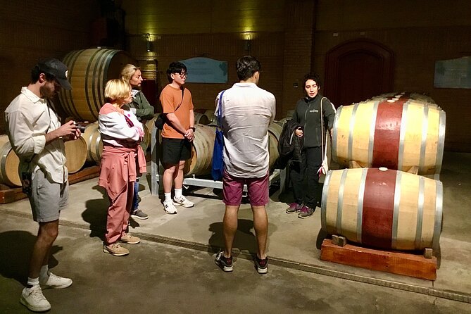 From Valparaiso:Taste 10 Types of Wine in 3 Casablanca’s Vineyard - Transport is the quiet advantage