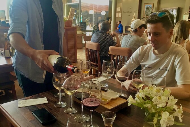 From Valparaiso:Taste 10 Types of Wine in 3 Casablanca’s Vineyard - What kind of day should you expect?