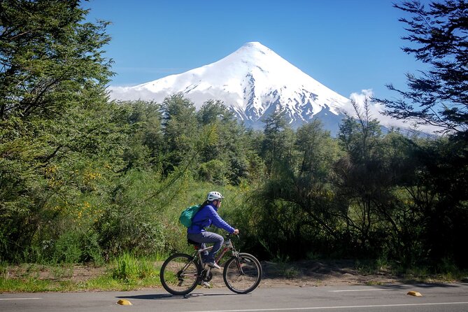 Frutillar Bike Tour from Puerto Varas - Key Points to Know Before You Book