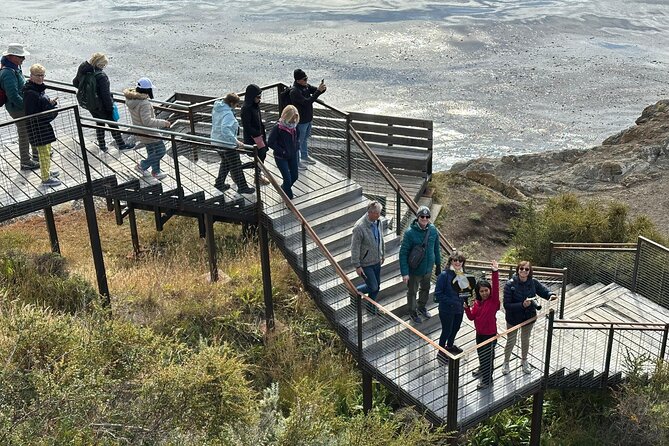 Fuerte Bulnes Shore Tour for Cruisers in Punta Arenas - Key points before you book