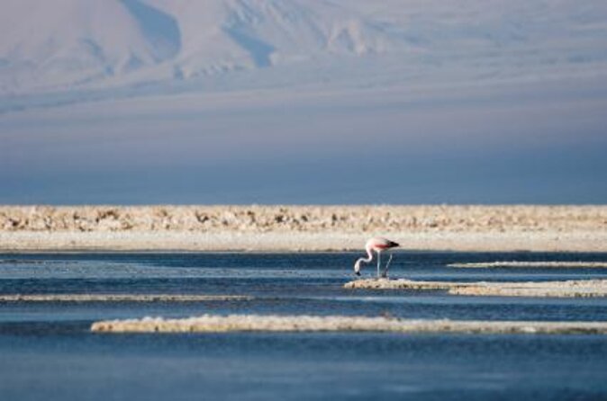 Full Atacama - SORBAC (private groups) - Six details that shape the experience
