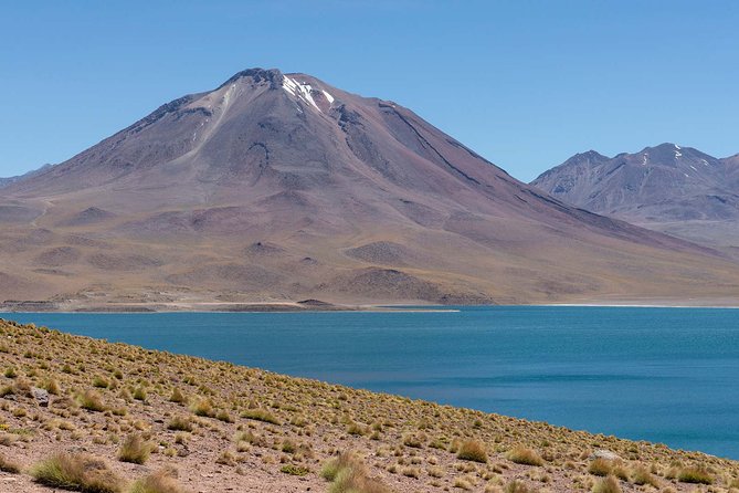 Full day Altiplanic Lagoons + Red stones viewpoint + Salar de Atacama - Key points to know before booking
