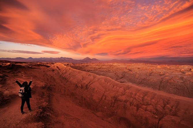 Full day Altiplanic Lagoons + Red stones viewpoint + Salar de Atacama - Why this 10-hour Atacama circuit works well