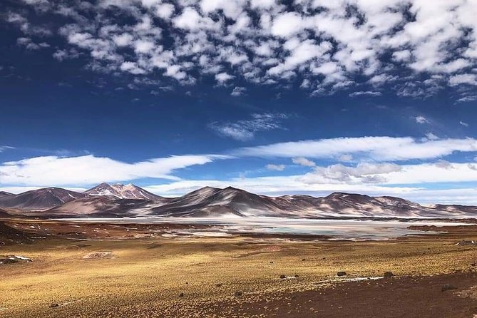 Full day Altiplanic Lagoons + Red stones viewpoint + Salar de Atacama - Piedras Rojas and the Aguas Calientes Salt Flat