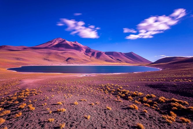 Full day Altiplanic Lagoons + Red stones viewpoint + Salar de Atacama - Meals, transport, and the value of a small group