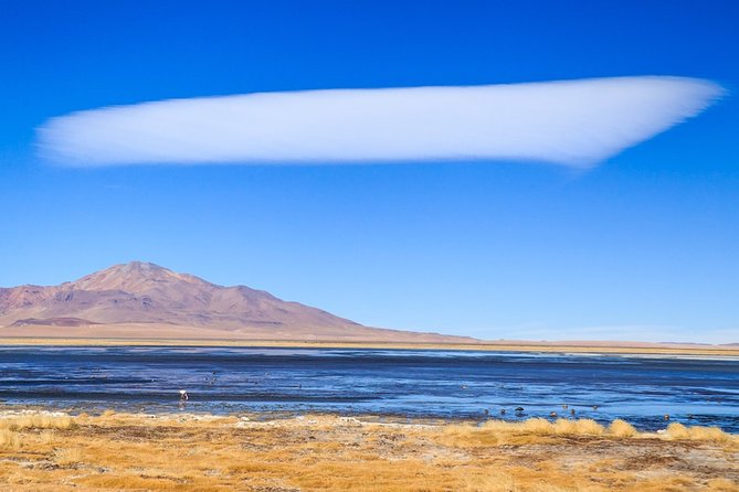 Full day Altiplanic Lagoons + Red stones viewpoint + Salar de Atacama - 6:30 a.m. pickup and the first climb into the Andes