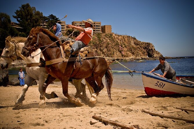 Full-Day Coastal Escape: Beaches, Penguins & Seaside Towns - Horcón shows the working side of the coast