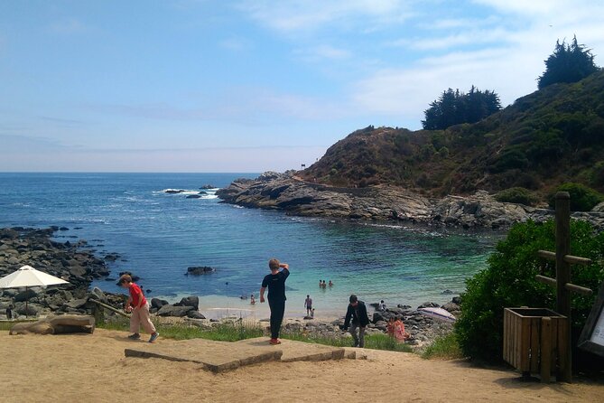 Full-Day Coastal Escape: Beaches, Penguins & Seaside Towns - Roca Oceánica opens with high coastal views