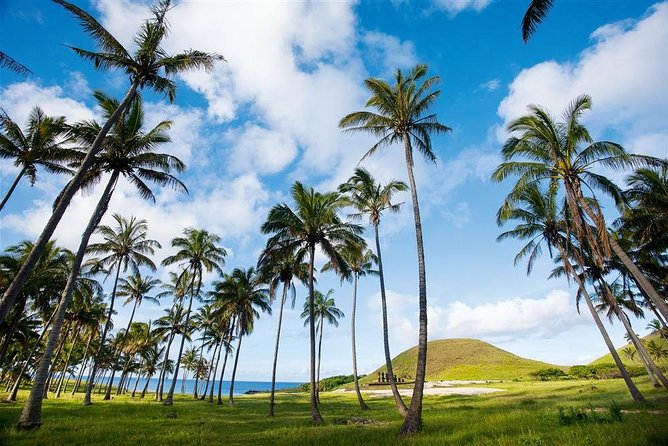 Full-Day Easter Island Tour: Moai Statues and Island Highlights - Why one day is a smart way to see Rapa Nui