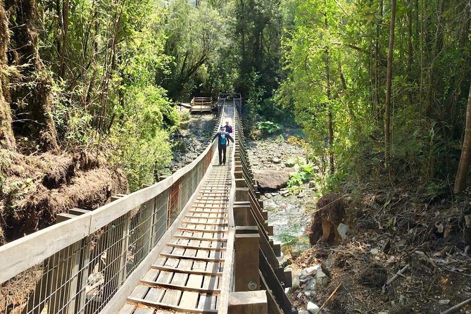 Full day HIKE Alerce Andino Parque Nacional. - From Puerto Varas to the Carretera Austral